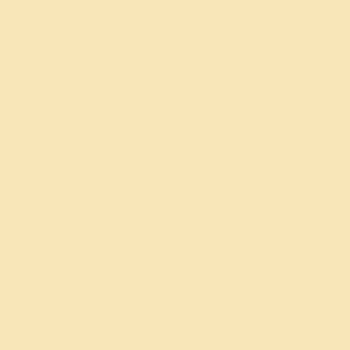 ARCHIVED MASON #6098 - Flesh