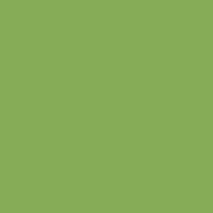 ARCHIVED MASON #6211 - Pea Green