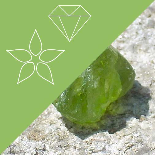 Beryl-Peridot-Milk Thistle