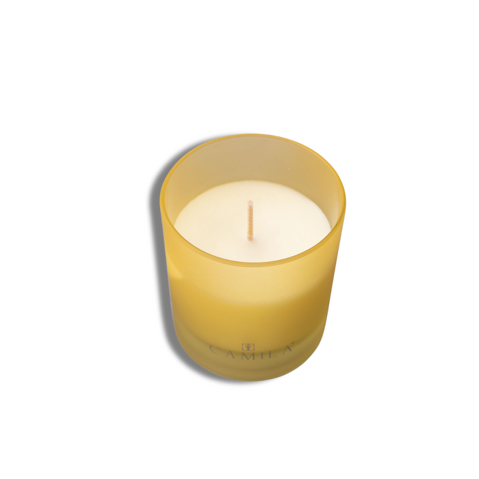 CAMILA CANDELA LEMON E GINGER 140GR