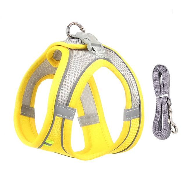 Yellow / XXS 0.5-1.5kg