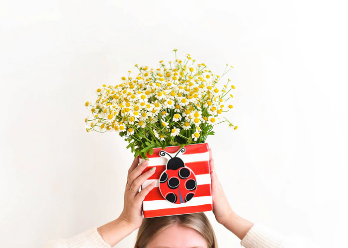 Happy Everything Red Stripe Mini Nesting Cube-Medium