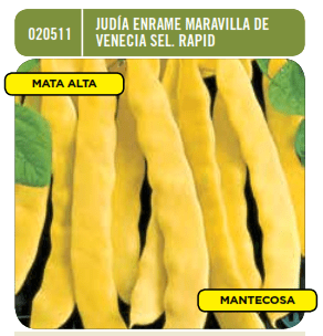 Judía enrame maravilla Venecia - Phaseolus vulgaris - Semillas - Batlle - El Nou Garden