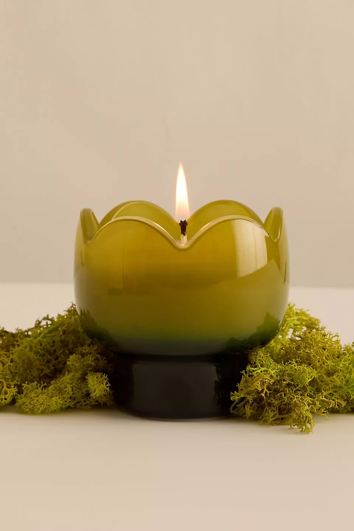 Paddywax-Tulip-Glass-Candle-Verbena-Lemongrass
