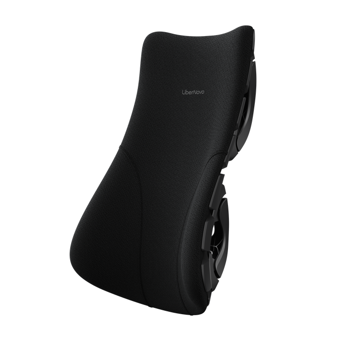 SE-Backrest Assembly