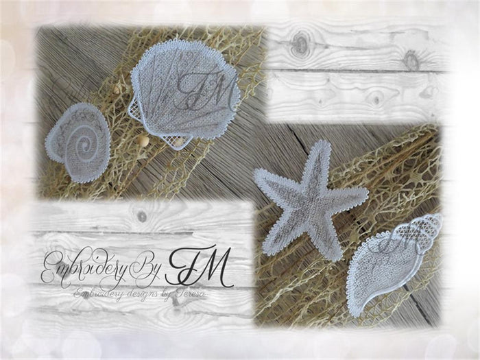 Shells FSL / with loop and without loops / 4x4 hoop