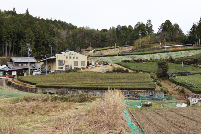#1054.G1 Nitta Tea Farm: 2026 Premium Sencha