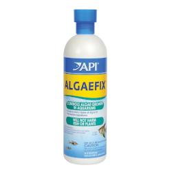 Algae Fix