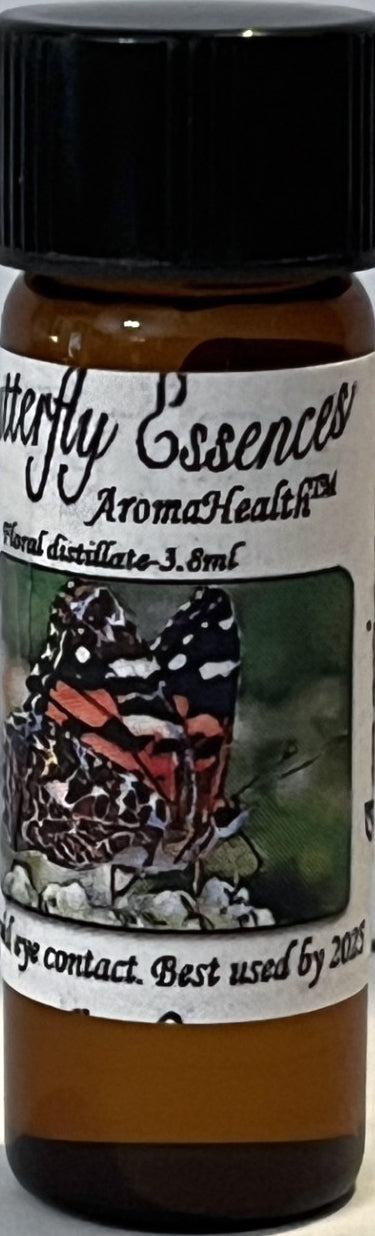American Lady (Vanessa Cardui)