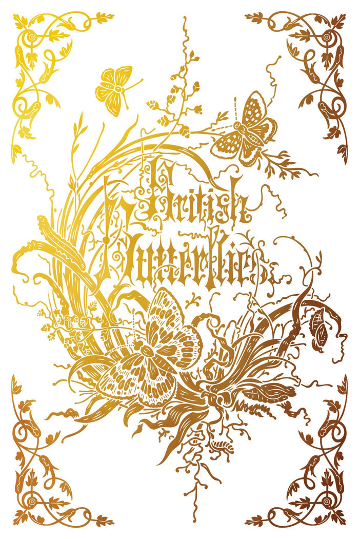 Athenaeum Foil Transfer by IOD