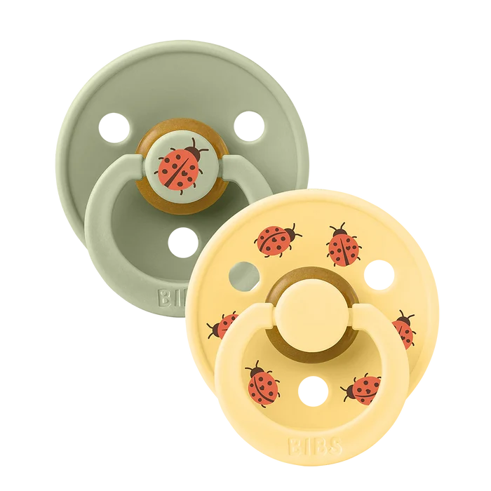 Bibs Round Natural Dummy Pacifier - Urban Garden - Ladybug Sage Mix