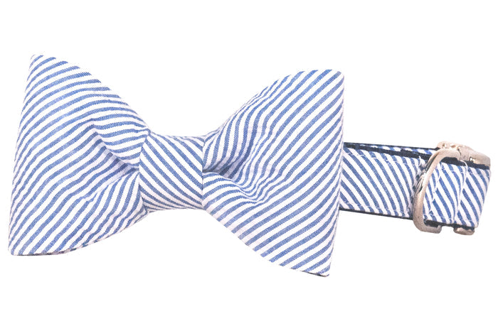 A blue and white diagonal striped dog collar with an attached bow tie made of the same seersucker fabric. The bow tie is neatly gathered at the center, creating a classic symmetrical shape with softly curved edges. The collar features a matching striped pattern and is equipped with a silver metal buckle and D-ring for leash attachment. The design has a polished, preppy look, combining charm with everyday functionality.