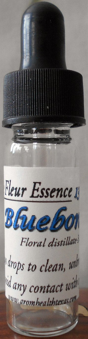 Bluebonnet, Texas wildflower, Flower Essence, Texas lupine