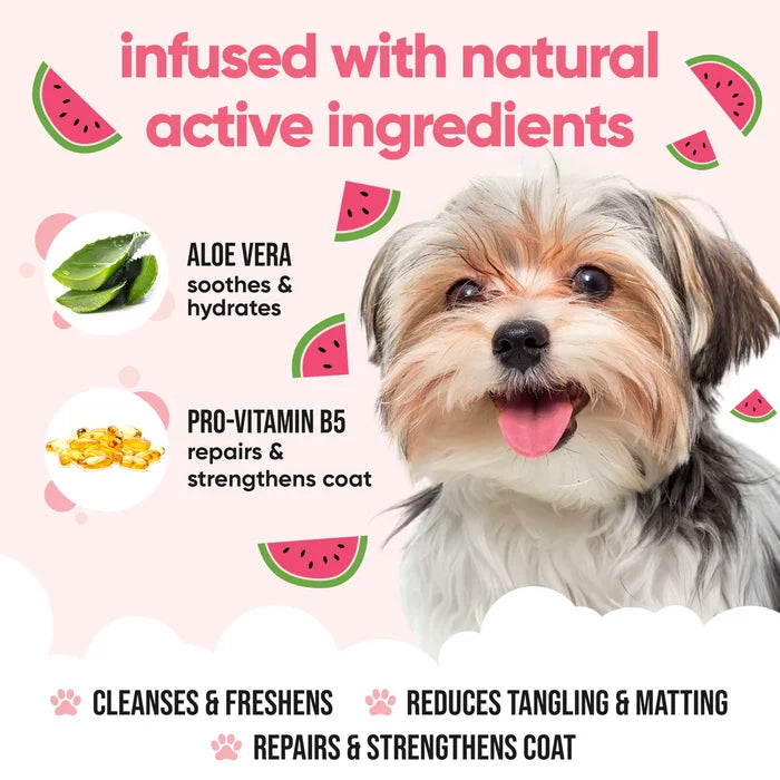 Buddycare Dog Shampoo - Watermelon 16.9 fl.oz