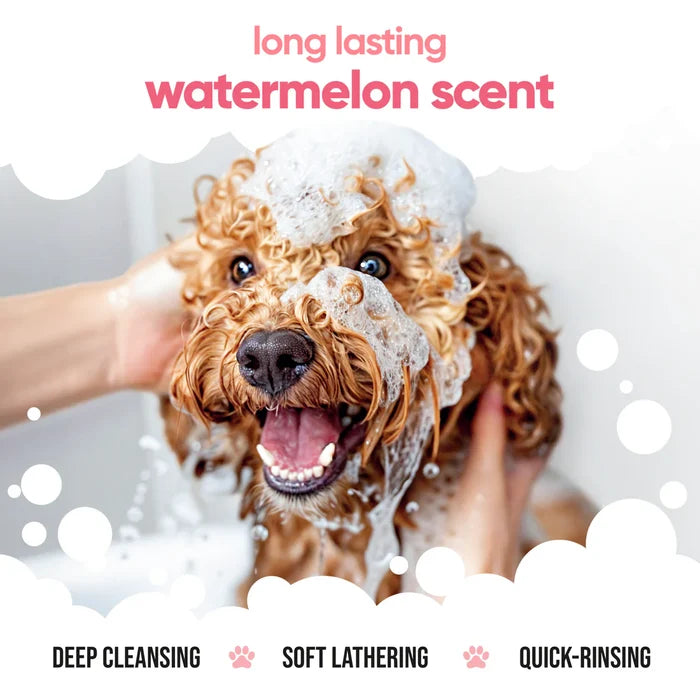 Buddycare Dog Shampoo - Watermelon 16.9 fl.oz