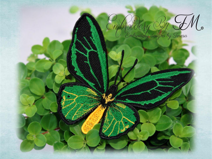 Butterfly No.17 / 5x7 hoop