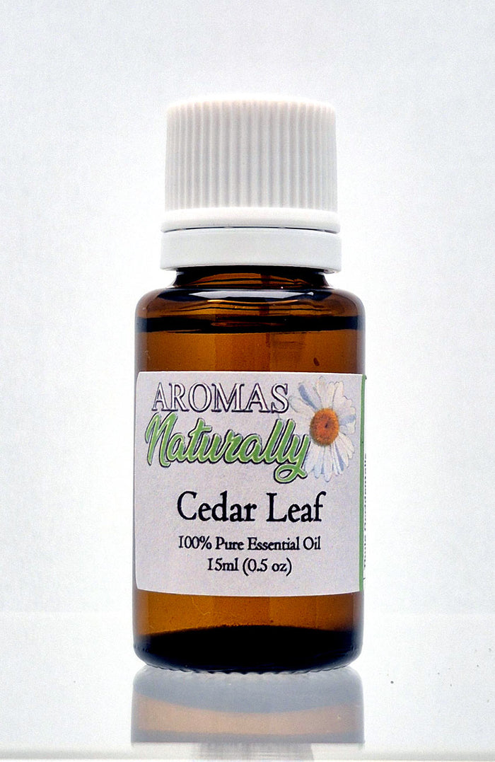 Cedar Leaf (Thuja) Essential Oil - 15 ml