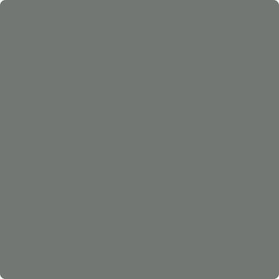 CSP-55 Gray Gardens Paint Brush Mock Up