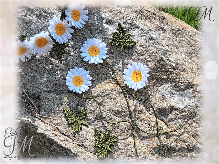 Daisies for wreath making /5x7 hoop