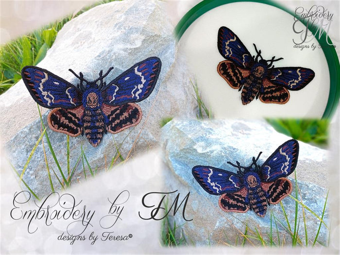 Death's-head hawkmoth / 5x7 hoop