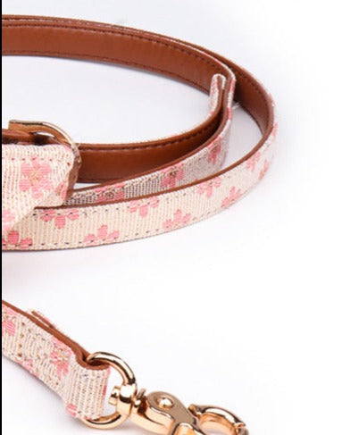 pink leash / S