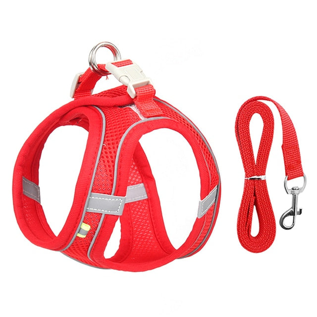 Red / XXS 0.5-1.5kg