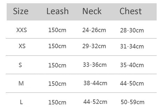 Dog Harness and Leash Set