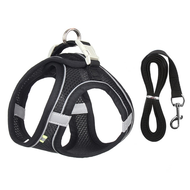 Black / XXS 0.5-1.5kg