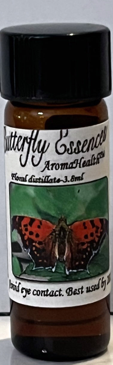 Eastern Comma (Polygonia comma)