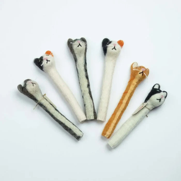 Cat- Neutral Assorted Colors
