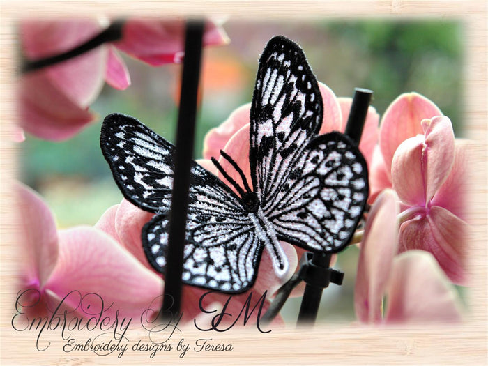 FSL Butterfly No. 11 / 4x4 hoop