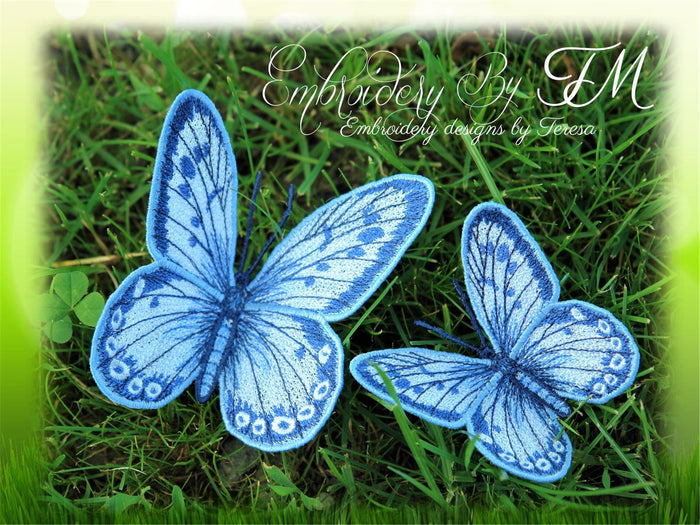 FSL Butterfly No. 12 / two sizes / 4x4 and 5x7 hoop