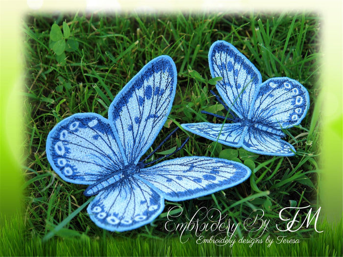 FSL Butterfly No. 12 / two sizes / 4x4 and 5x7 hoop