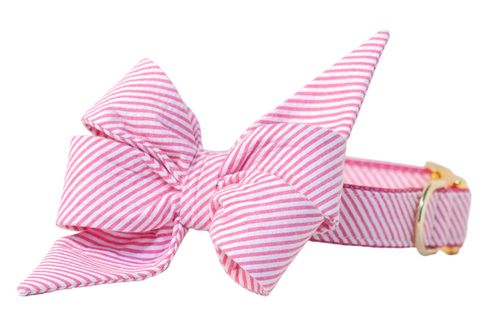 A sweet and stylish dog collar featuring a large, feminine, double-looped belle bow made from fuchsia and white diagonal seersucker fabric. The belle bow is securely attached to a matching collar with polished gold-tone hardware, adding a preppy charm perfect for sunny strolls or special occasions.