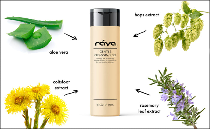 GENTLE CLEANSING GEL (104) RAYA SPA - rayaspa