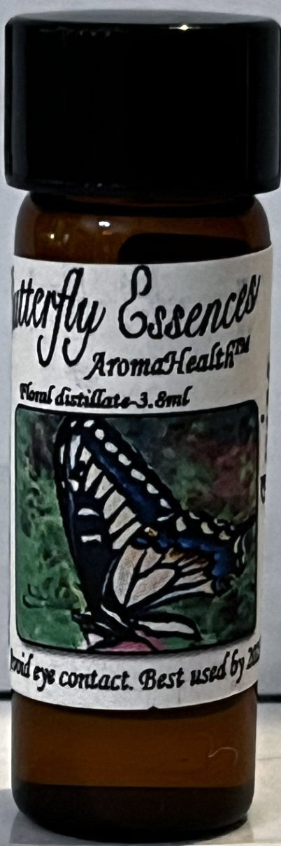 Giant Swallowtail (Papilio cresphontis)