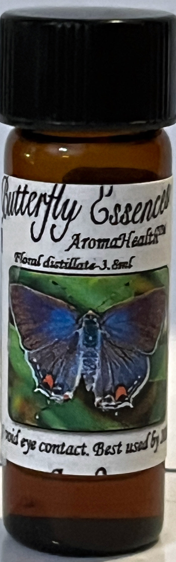 Gray Hairstreak (Strymon melinus)