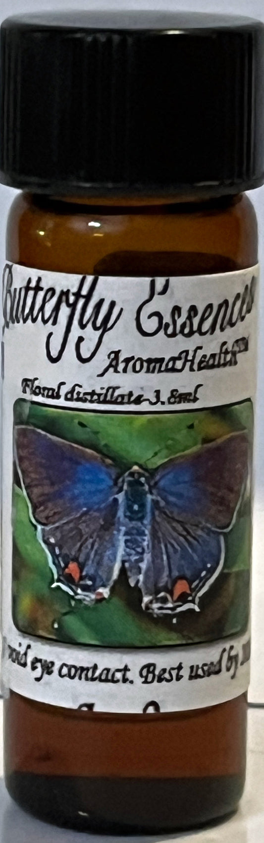Gray Hairstreak (Strymon melinus)