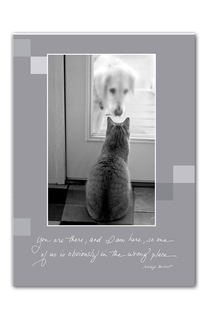 Greeting Card ~ Birthday: Shanna & Tigger