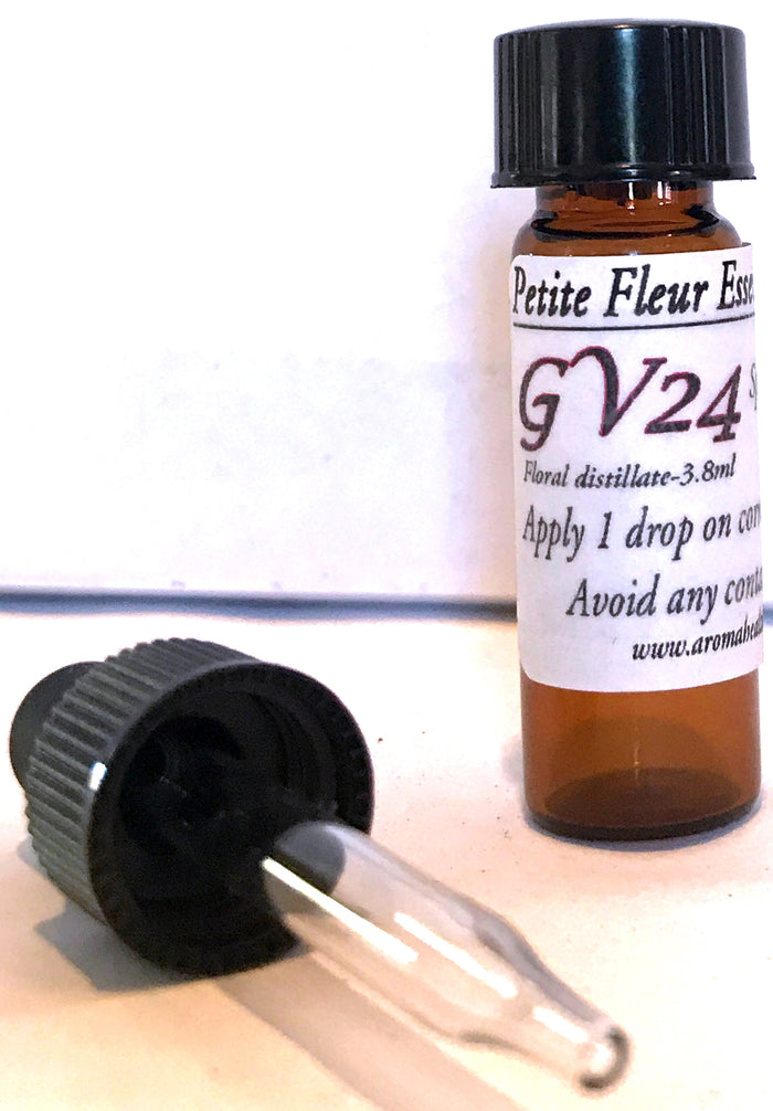 GV24