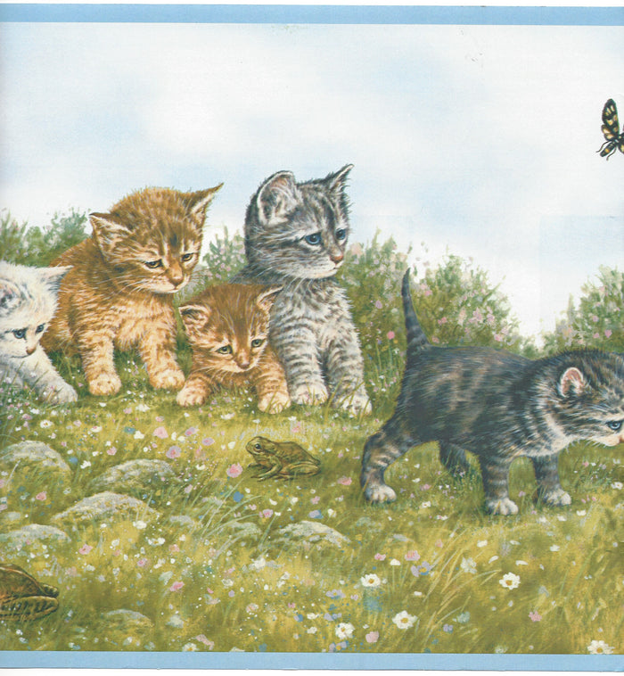 Kitten - Kittens and Playmates with Blue Edge Cat Wallpaper Border - all4wallswall-paper