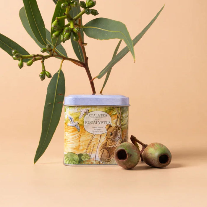 Koala Tea Gift Tin - Organic Tea Bags Euclayptus (10 pack)