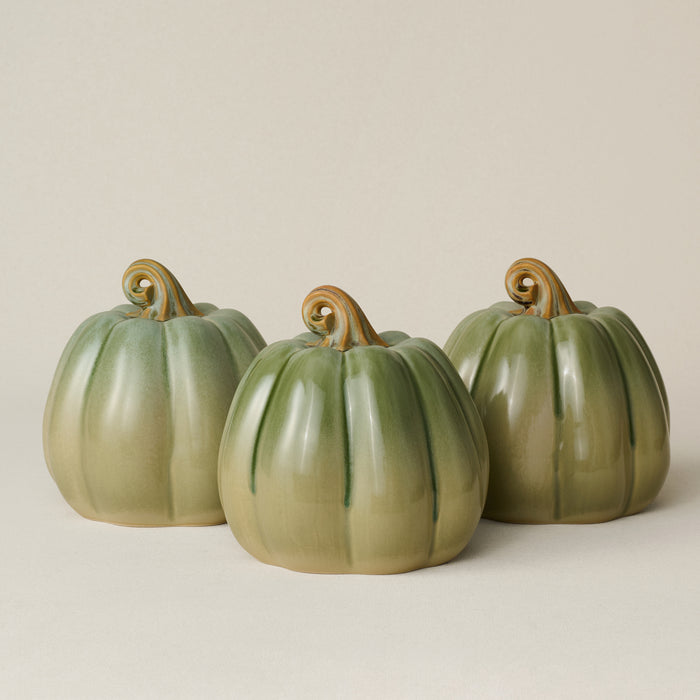 Large Pumpkin, Silver Sage
