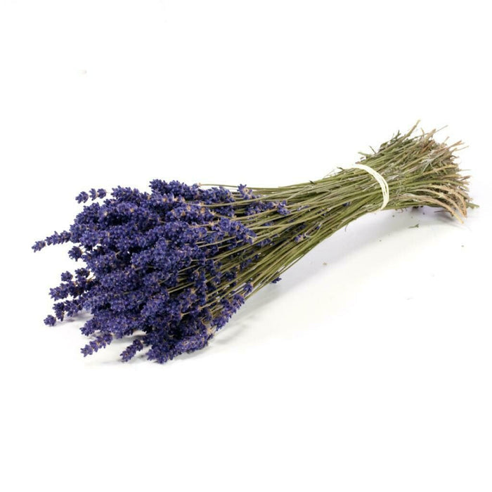 Lavender hydrosol ( 120 ml) - ماء اللافندر