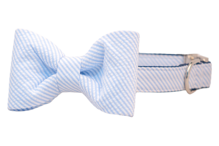 A dog collar with a matching attached classic bow tie, both made from light blue and white striped seersucker fabric in a diagonal pattern. The bow tie is full and neatly structured. The collar features a silver D-ring for leash attachment, and a coordinating metal buckle closure.