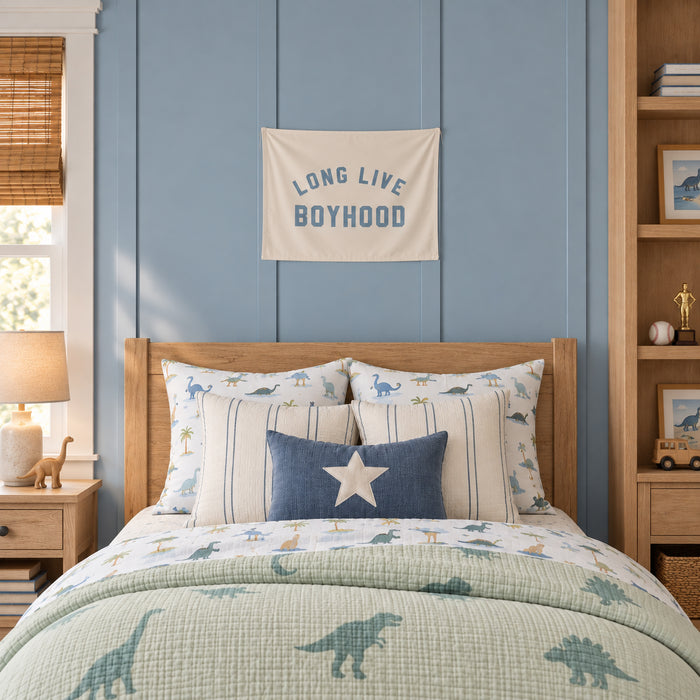 Long Live Boyhood Banner