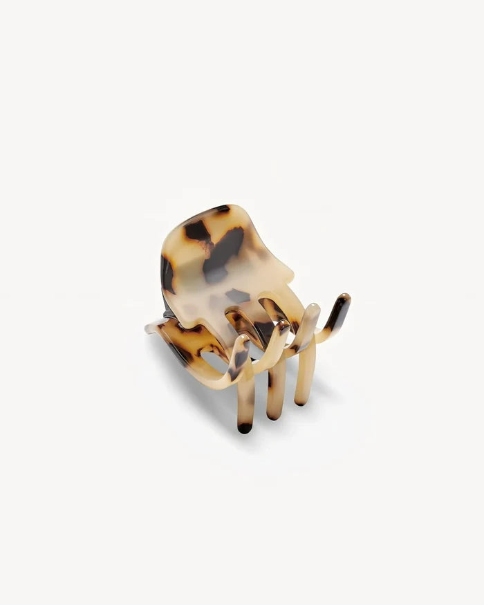 Blonde Tortoise