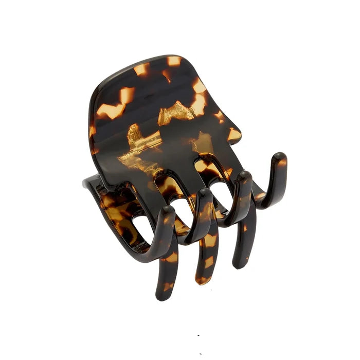 Dark Tortoise