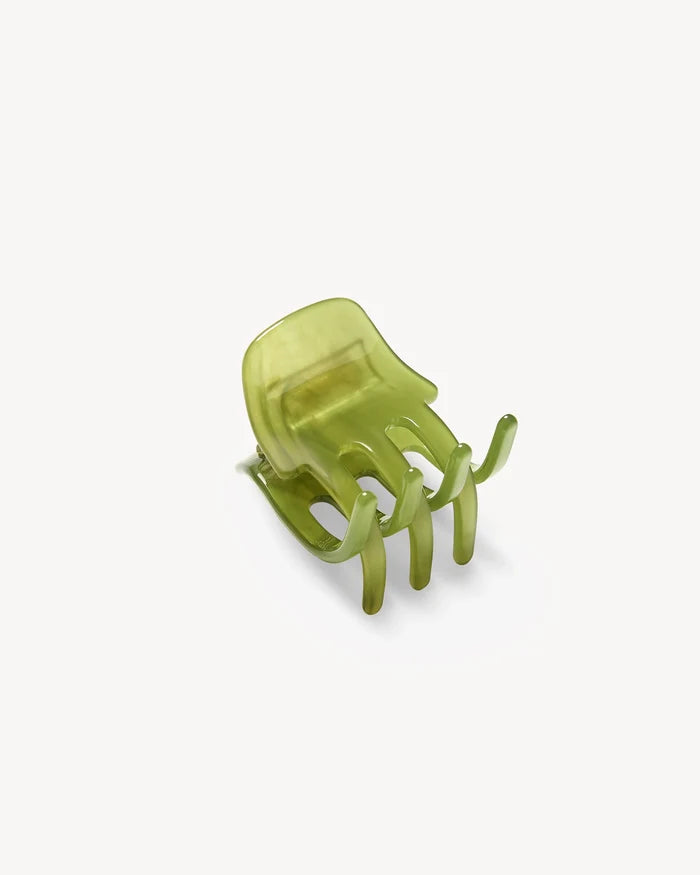 Algae