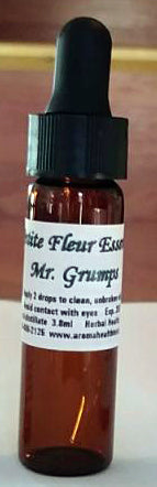 Mr. Grumps (Cinnamon leaf )